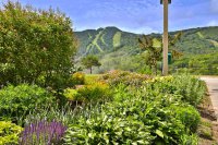 133 East Mountain
