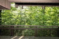 1174 East Ash Hawk Ledges