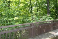 1174 East Ash Hawk Ledges