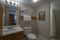 203 Old Mill Pinnacle