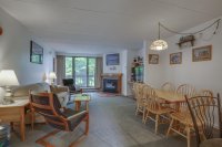 203 Old Mill Pinnacle