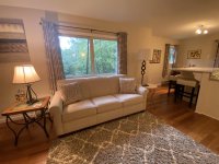 62 Silver Birch