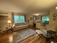 62 Silver Birch