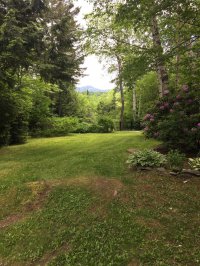 183 Birch