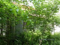 2247 E Woodstock