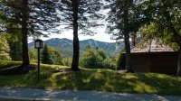 88 Spruce