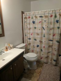 157 Hawk Run Hawk Pittsfield
