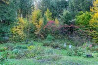 3961 Hartland Hill