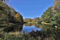149 Hawk Pond Hawk Resort