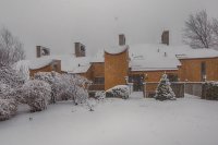 394 Winterberry