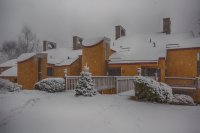 394 Winterberry