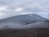 394 Winterberry