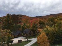 394 Winterberry