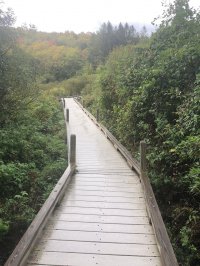 135 East Mountain
