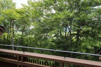 107 Blueberry Ledge