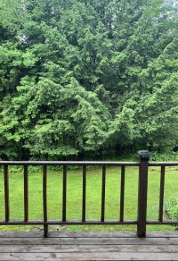 56 Townhouse Woodstock West