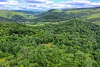 549 Taggart Hill