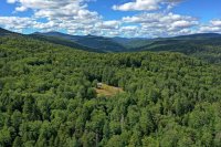 549 Taggart Hill