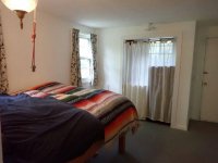 172 Birch Tree