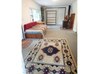 172 Birch Tree