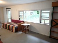 172 Birch Tree