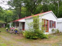 172 Birch Tree