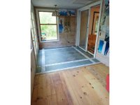 172 Birch Tree