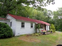 172 Birch Tree