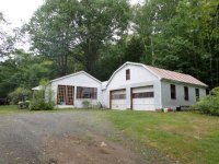 172 Birch Tree