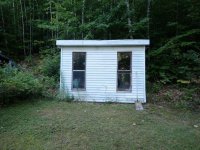 172 Birch Tree