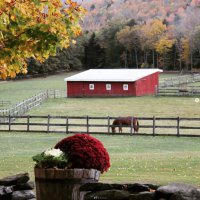 298 Holiday Farm