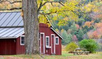 298 Holiday Farm
