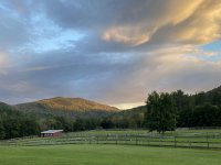 298 Holiday Farm