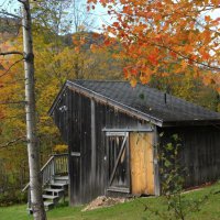 298 Holiday Farm