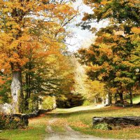 298 Holiday Farm