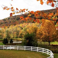298 Holiday Farm