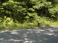 Map 22-032 Rocky Ridge 032