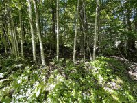 Map 22-032 Rocky Ridge 032