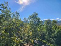 19 High Ridge