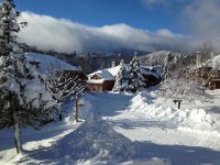 530 East Mountain Trail Creek