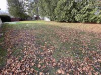 91 Maplewwood