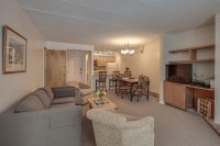 259 Old Mill Pinnacle
