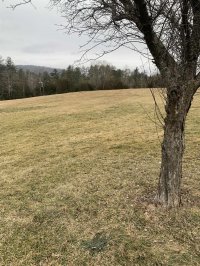 2439 US Route 7 North