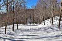 134 Great Trail