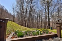 1094 East Ash Hawk Resort