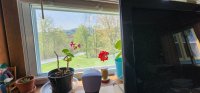 175 Music Mountain