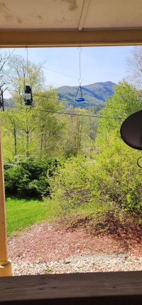 175 Music Mountain