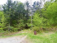 441 Lilliesville Brook