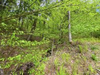 441 Lilliesville Brook