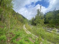 441 Lilliesville Brook